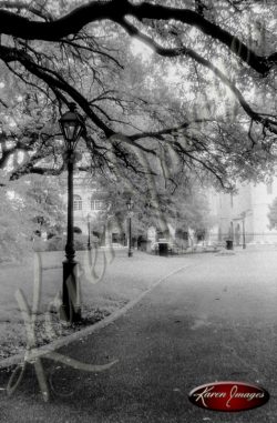 Black and white image of New Orleans LA