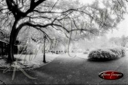 Black and white image of New Orleans LA