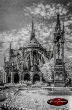 black and white image of notre dame cathedral paris france gargoyles seine