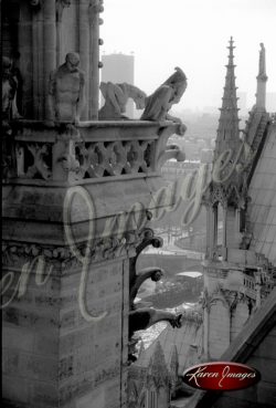 black and white image of notre dame cathedral paris france gargoyles seine