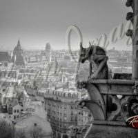 Notre Dame Paris, France