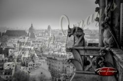 07_gargoyles_over_paris_notre_dame_cathedral_paris_black_and_white_photograph_paris_france