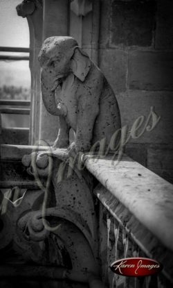 black and white image of notre dame cathedral paris france gargoyles seine