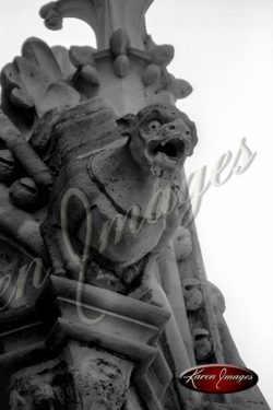 black and white image of notre dame cathedral paris france gargoyles seine