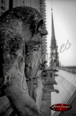 black and white image of notre dame cathedral paris france gargoyles seine