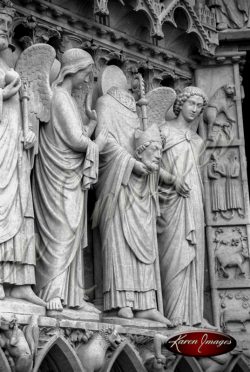 black and white image of notre dame cathedral paris france gargoyles seine