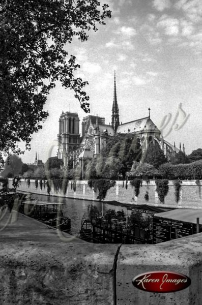 black and white image of notre dame cathedral paris france gargoyles seine