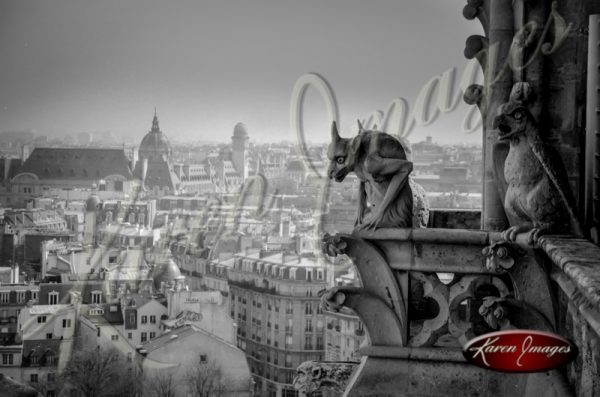 07_gargoyles_over_paris_notre_dame_cathedral_paris_black_and_white_photograph_paris_france