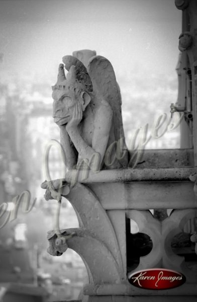 13_bob-on-break_notre_dame_cathedral_paris_black_and_white_photograph_paris_france