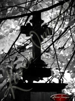 black and white image of prague czech republic prague castle hrad charles bridge staromestke josefov jewish museum jewish cemetary