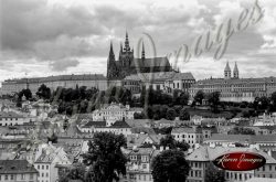 black and white image of prague czech republic prague castle hrad charles bridge staromestke josefov jewish museum jewish cemetary