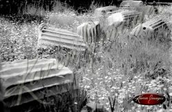 Black and White image of Rome Italy