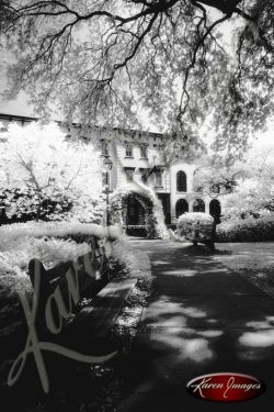 black and white image of Savannah Georgia