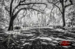 black and white image of Savannah Georgia