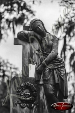 black and white image of Savannah Georgia