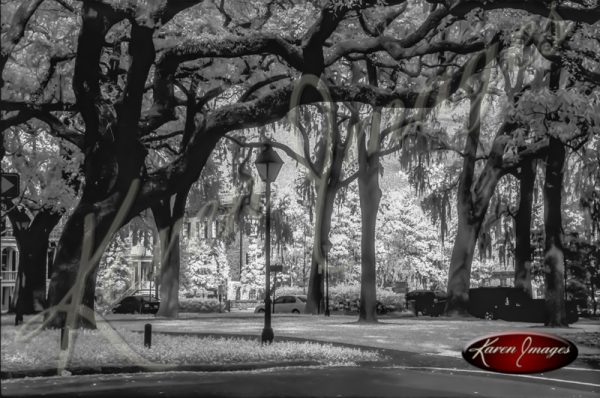 black and white image of Savannah Georgia