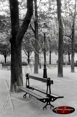 Black and White image of Paris Street Scenes