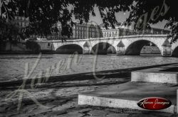 Black and White image of Paris Street Scenes