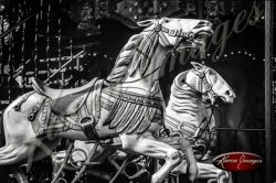 Carousel Horse bicycles Black and White image of Paris Street Scenes