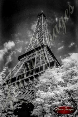 Eiffel tower Carousel Horse bicycles Black and White image of Paris Street Scenes