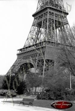 Eiffel tower Carousel Horse bicycles Black and White image of Paris Street Scenes