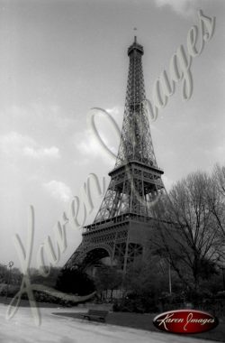 Eiffel tower Carousel Horse bicycles Black and White image of Paris Street Scenes