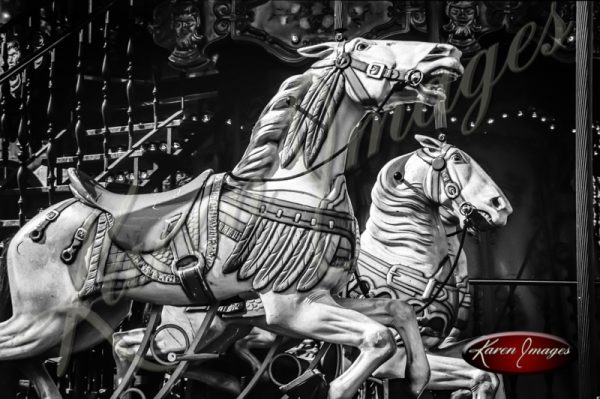 Carousel Horse bicycles Black and White image of Paris Street Scenes