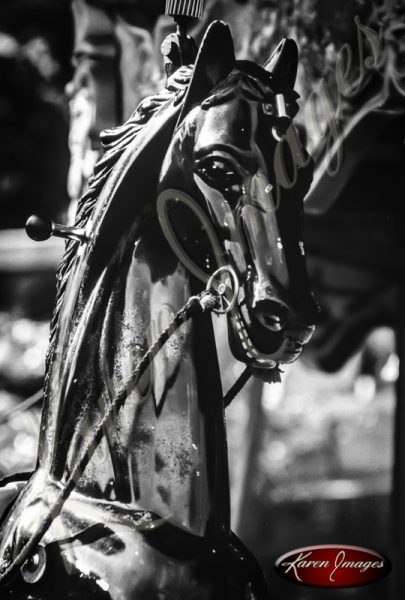 Carousel Horse bicycles Black and White image of Paris Street Scenes