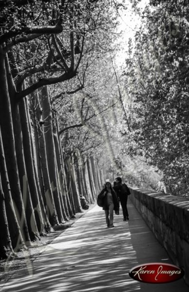 Black and White image of Paris Street Scenes