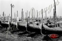 black and white image of venice italy