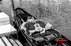 black and white image of venice italy