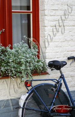 Rear Wheel Drive - Brugge Belgium bicycle