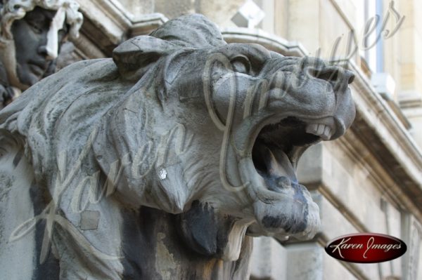 Budapest Pissed Lion