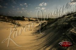 Cumberland Island National Seashore_002