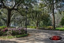 Forsyth Park Savannah Georgia