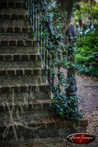 Ivy Staircase Savannah Georgia