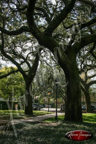 Pulaski Square Savannah Georgia