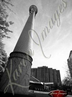 Centenial-Park-Atlanta-Georgia-Black-and-White