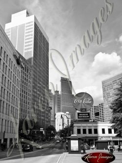 Woodruff-Park-Atlanta-Georgia-Black-and-White-02