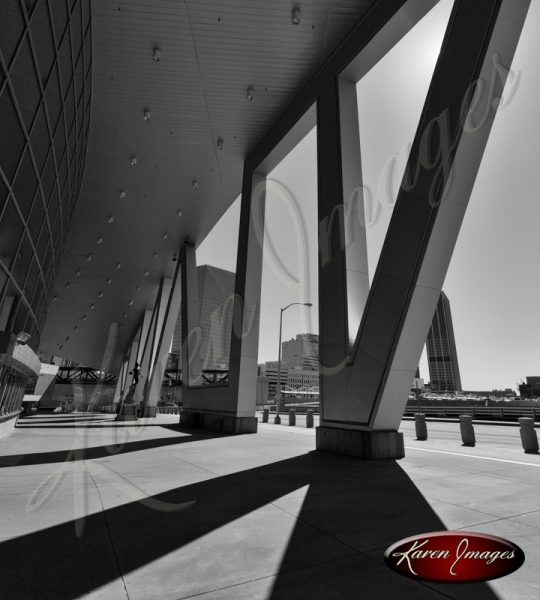 Atlanta Coulmns Phillips Arena Atlanta Georgia Black and White