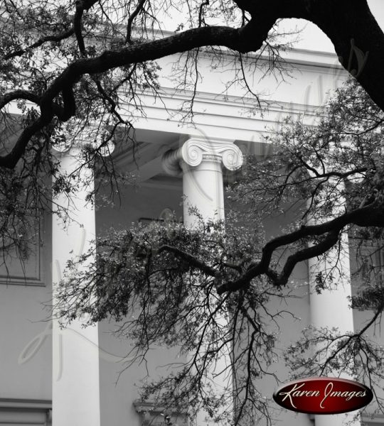 Columns and Live Oaks Savannah Georgia