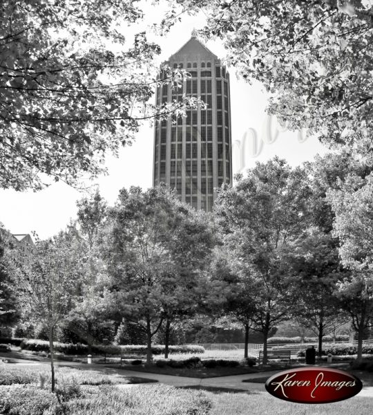 IBM Tower Sq with Dogwoods Atlanta Georgia Black and White