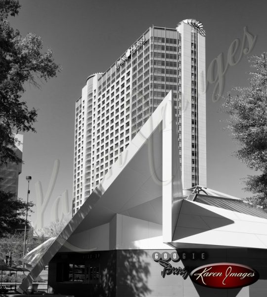 Omni Hotel Atlanta Georgia Black and White