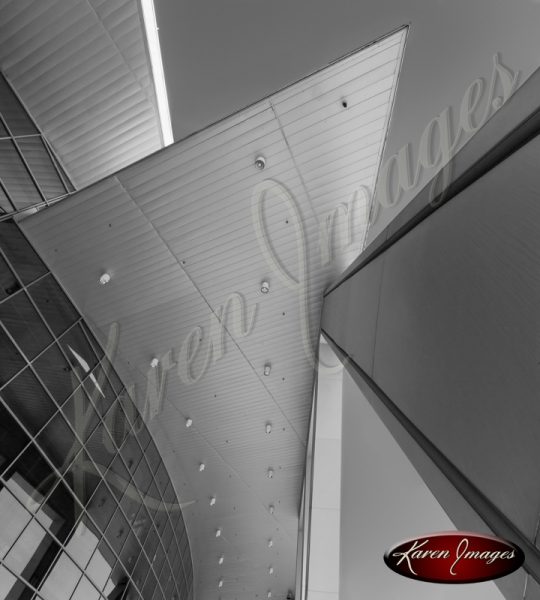 Phillips Arena Roofline Atlanta Georgia Black and White