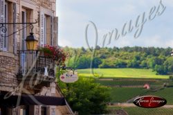 View of Vineyard in Meursault France from Town Square