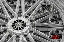 Louis XIV Rose Window Orleans France