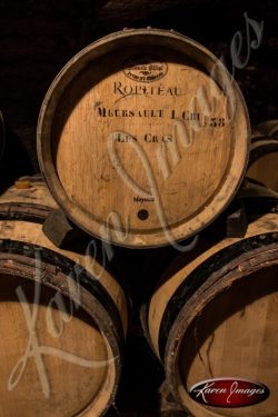 barrels of pinot noir in a cave in bourgogne france