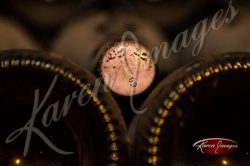 champagne bottle on lees in moet and chandon cave in Epernay france