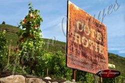 Rusted cote rotie sign in vineyard