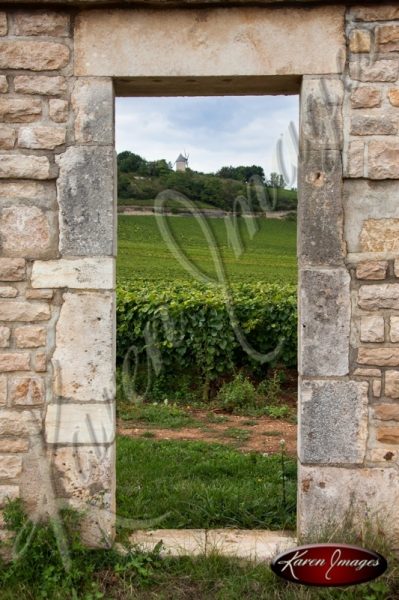 Meursault Vineyard framed by a clos doorway